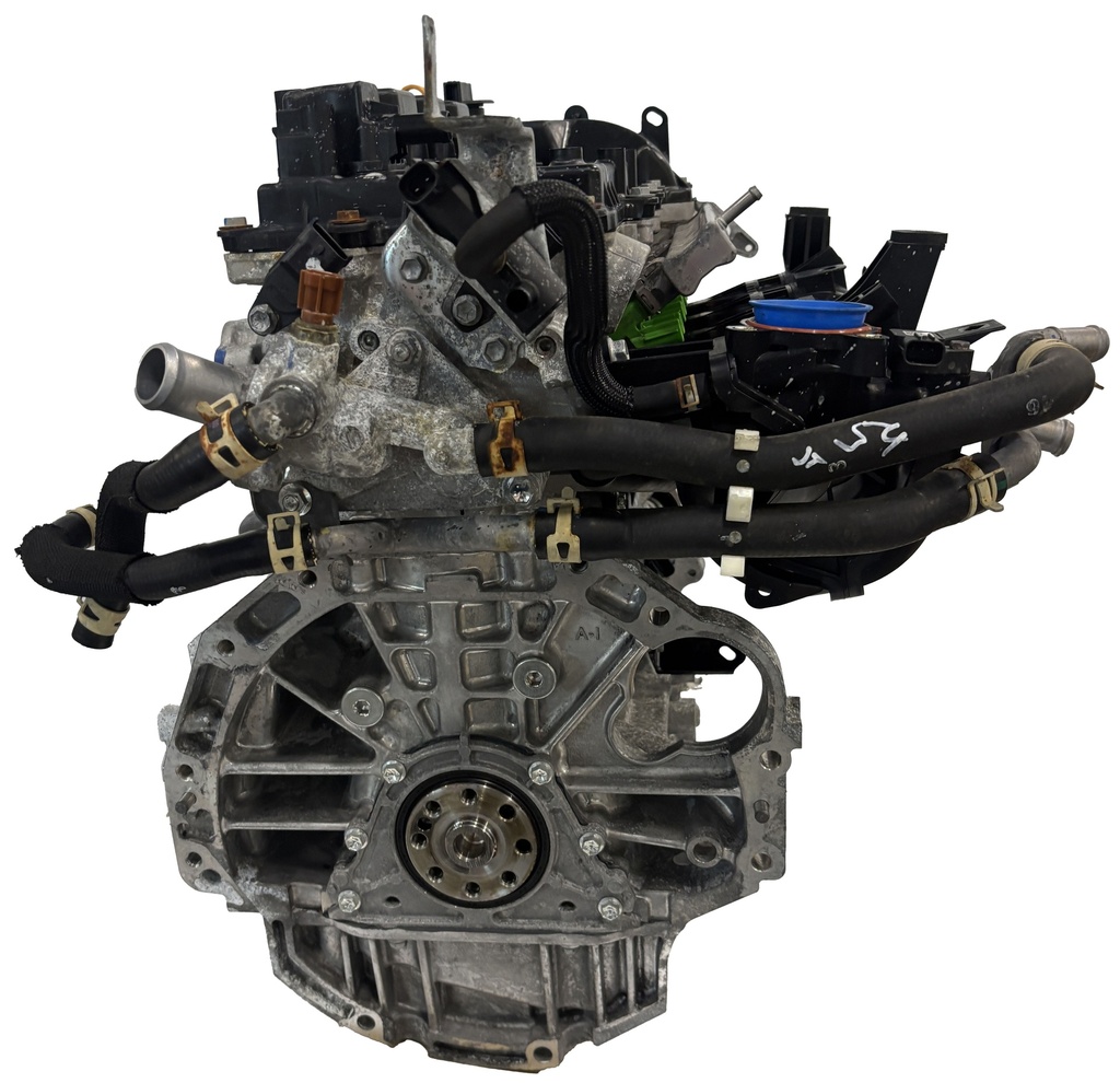 MTD-491787-1