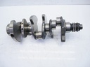 MTD-413181-1