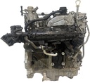 MTD-491863-1