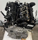 MTD-499299-1