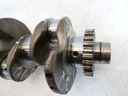 MTD-494074-5