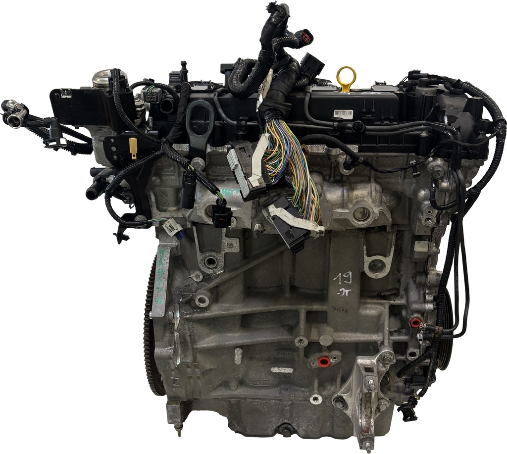 MTD-488907-1