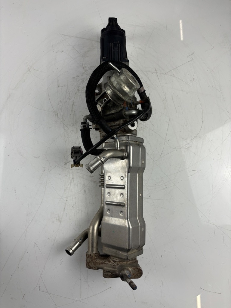 MTD-438983-1
