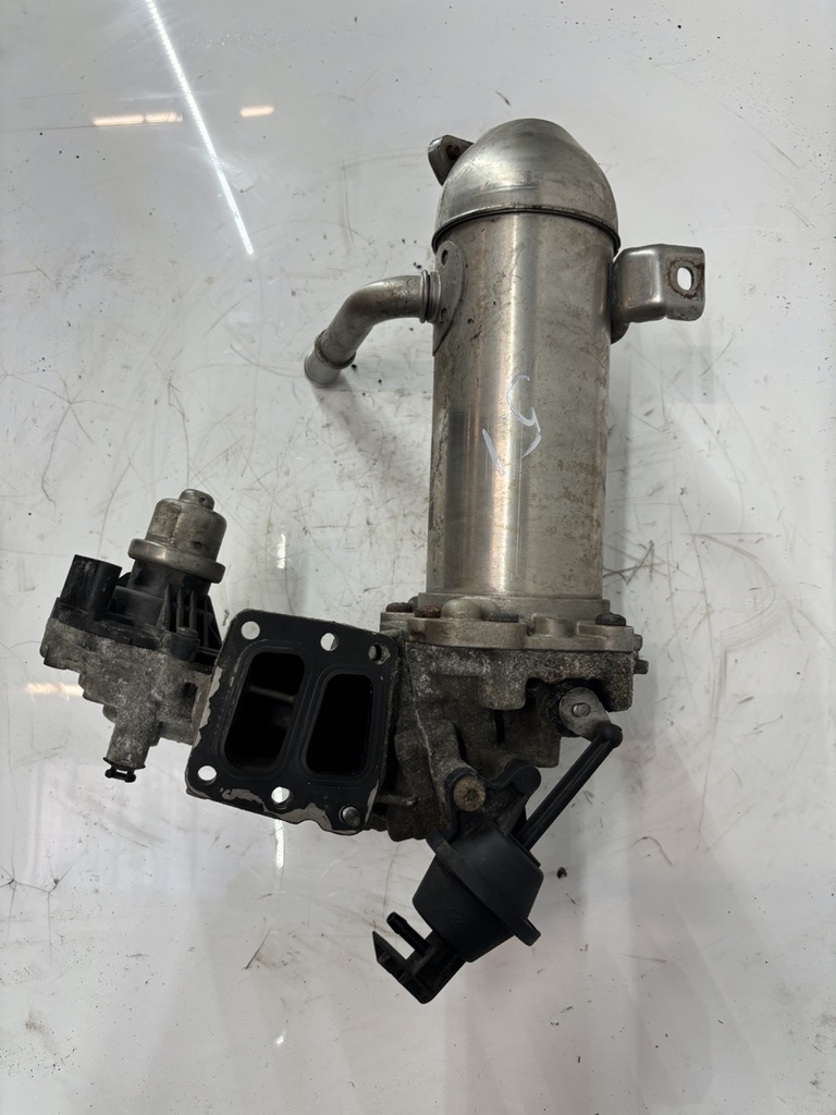 MTD-442646-1