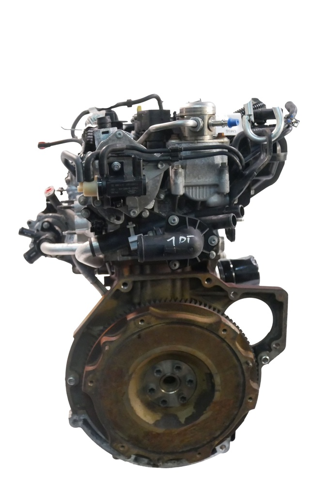 MTD-448573-2