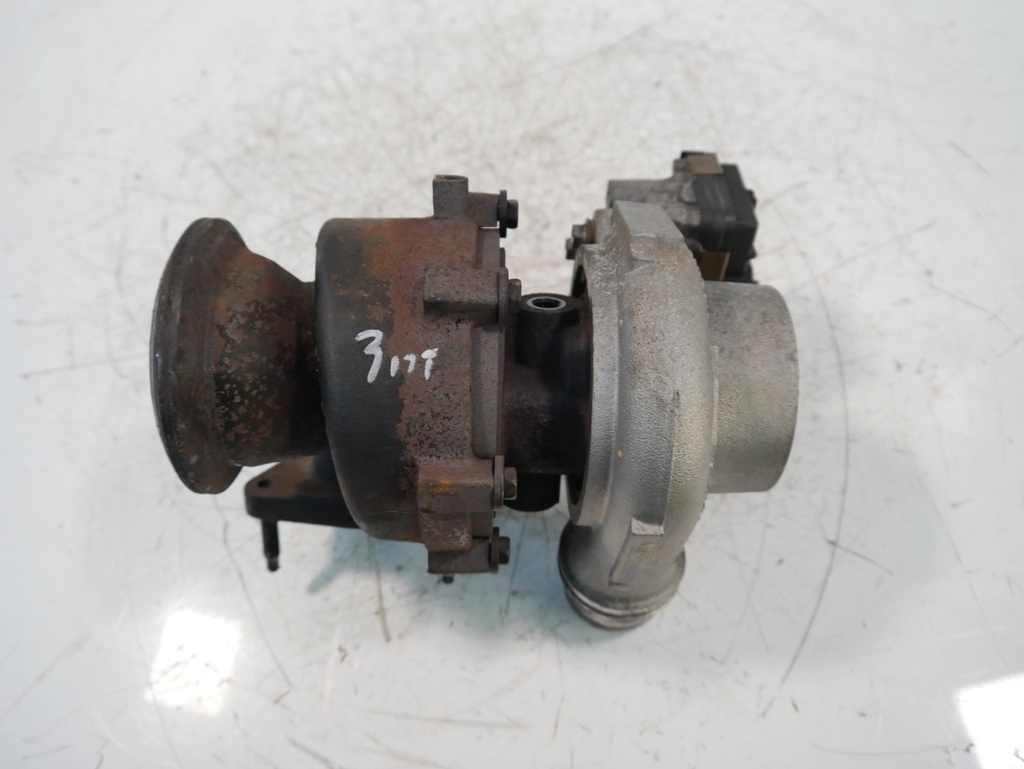 MTD-491243-1