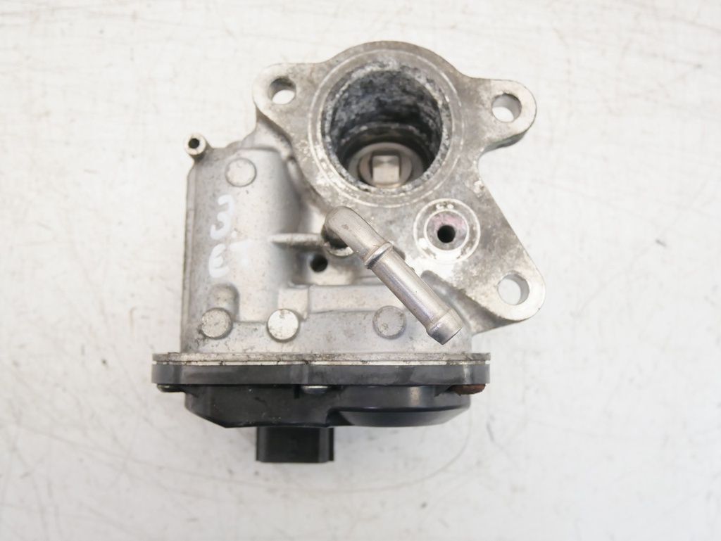 MTD-446467-1