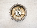 MTD-446541-1