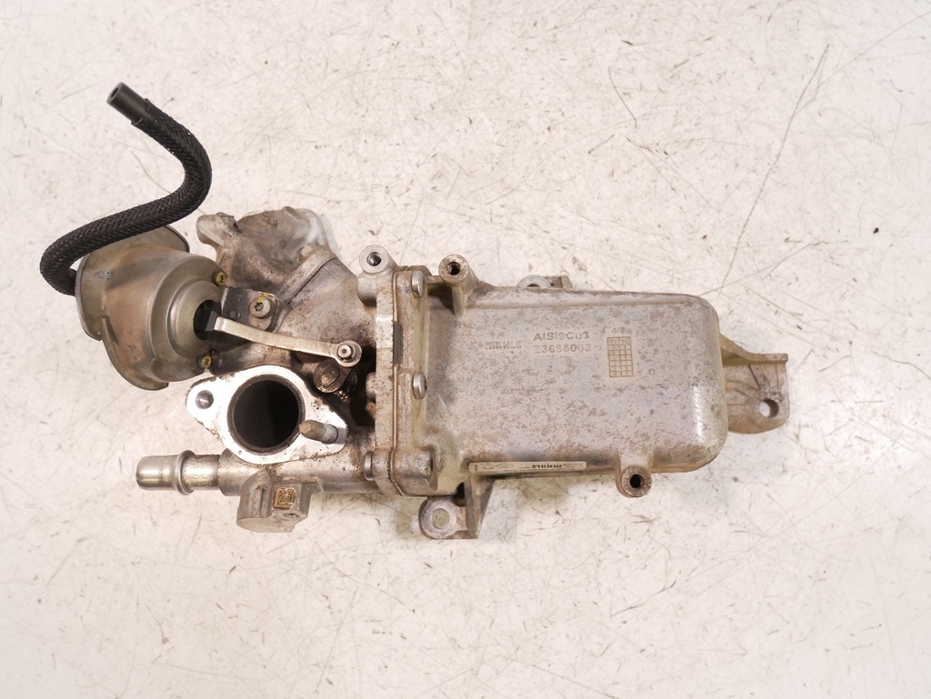 MTD-443542-1