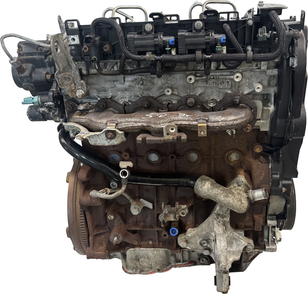 MTD-491749-3