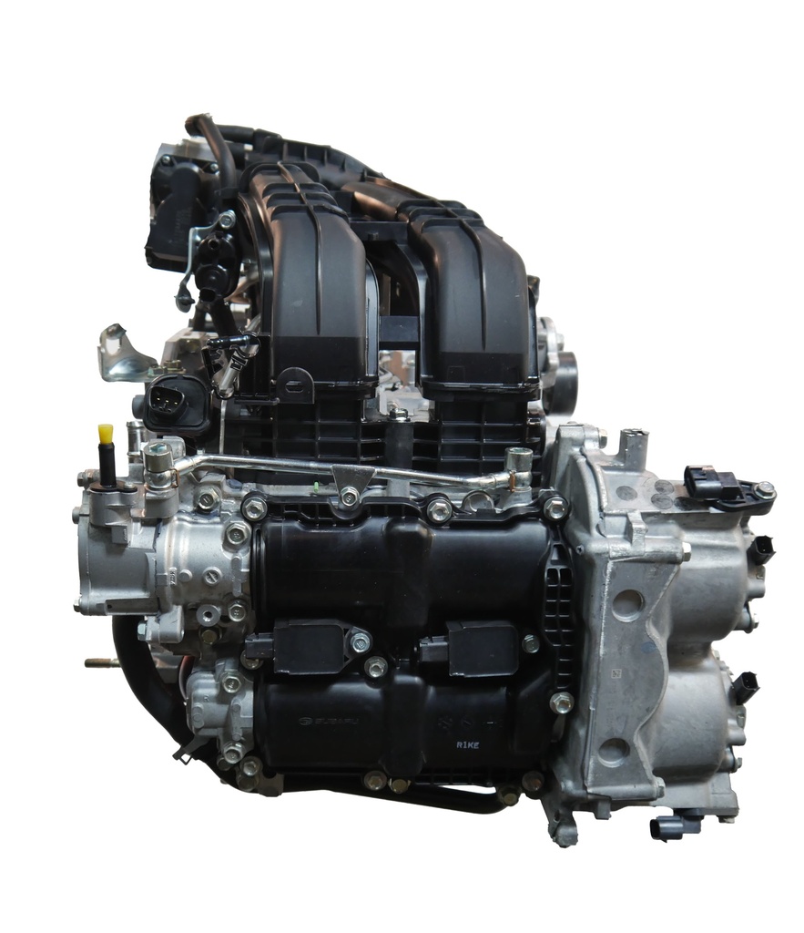 MTD-494390-1
