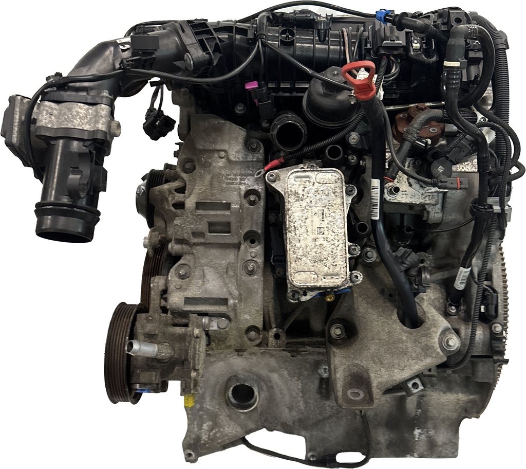 MTD-495388-3