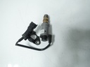 MTD-480437-1