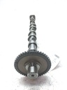 MTD-519244-3