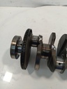 MTD-519028-1