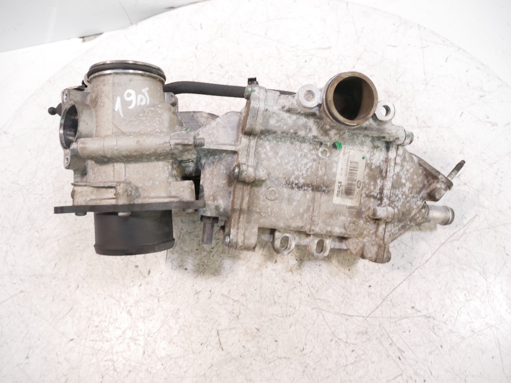 MTD-443317-1