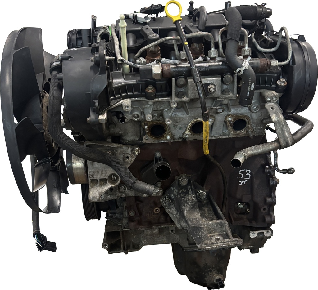 MTD-491783-1