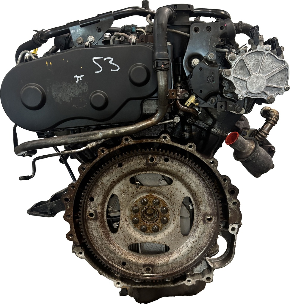 MTD-491783-2