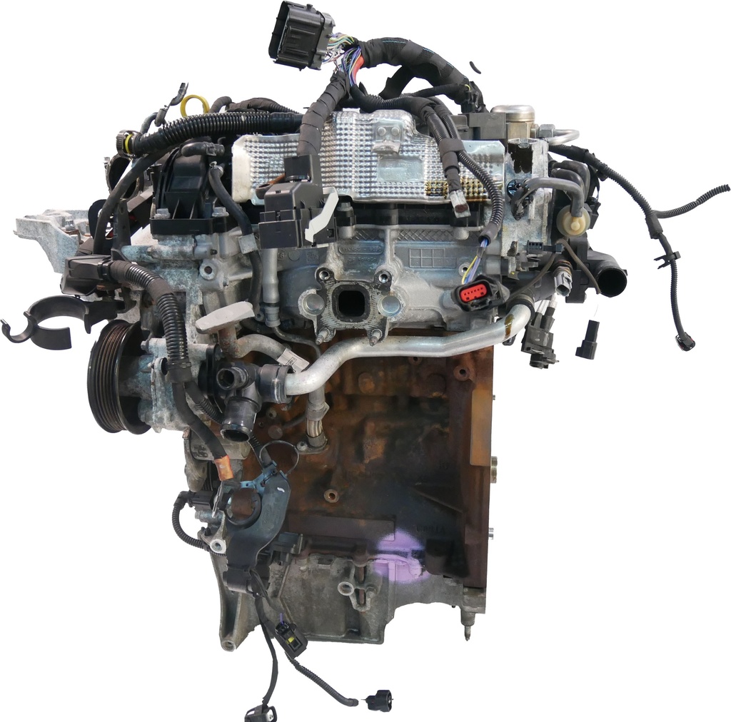 MTD-448405-1