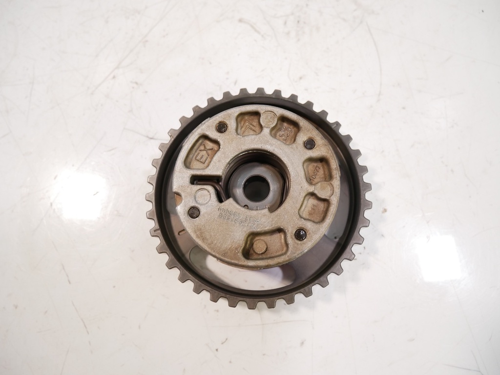MTD-446593-1