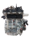 MTD-446606-1