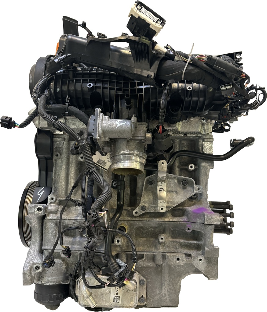 MTD-453843-2