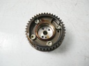 MTD-491076-1