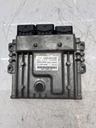 MTD-491263-1