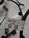 MTD-515316-1