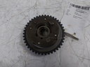 MTD-517774-1