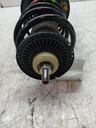 MTD-519424-1