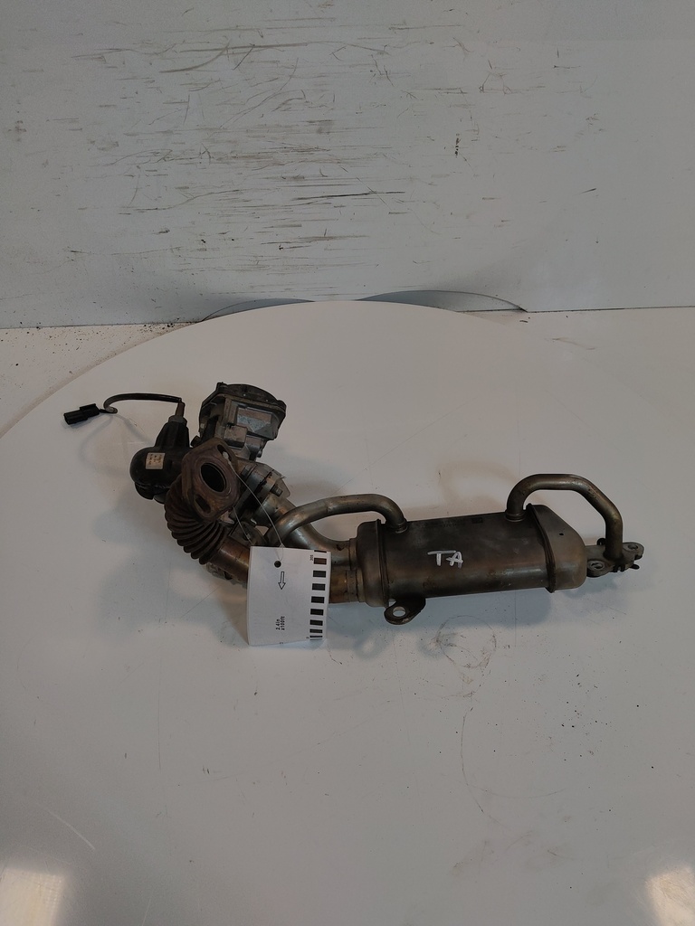 MTD-519392-1