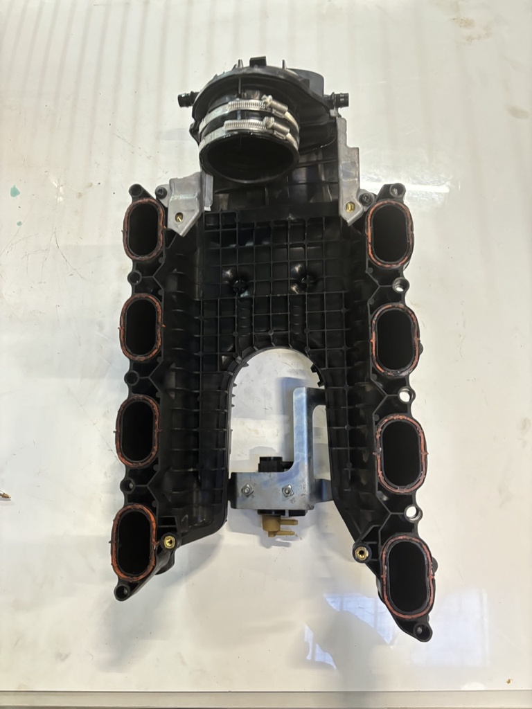 MTD-446504-1