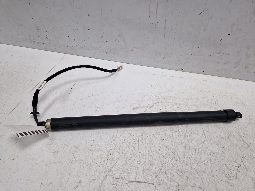 MTD-498937-1