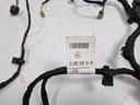 MTD-497998-3
