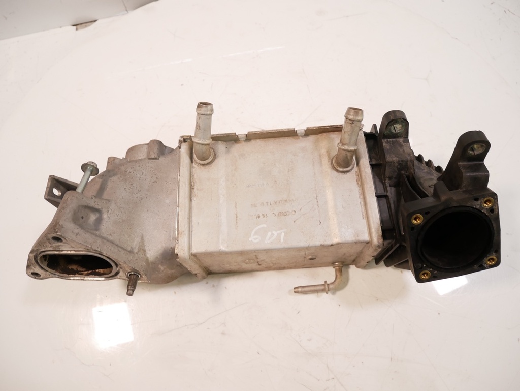 MTD-446244-1