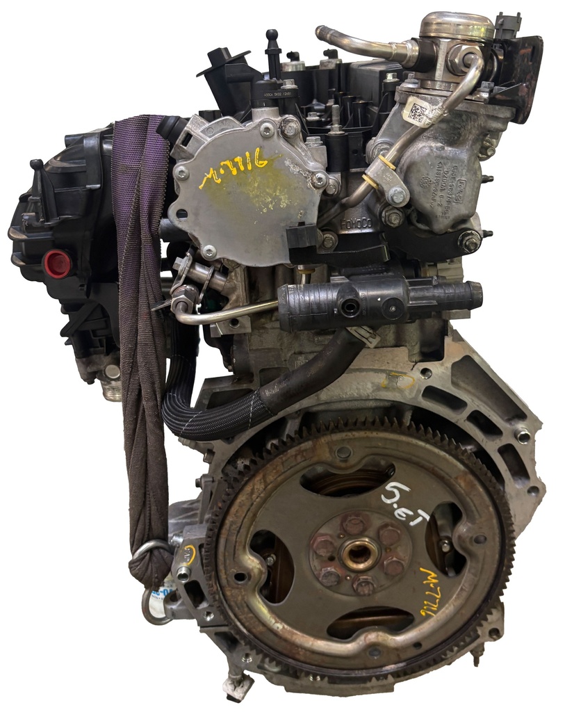 MTD-505488-3