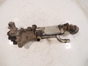 MTD-419635-1