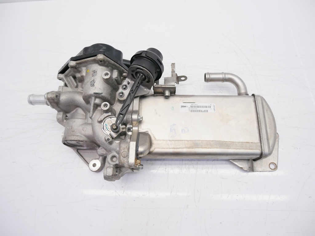 MTD-424434-1