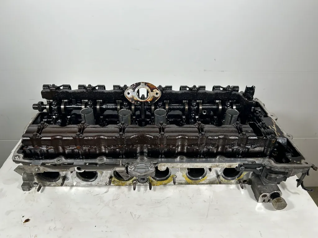 IMG_0617.webp