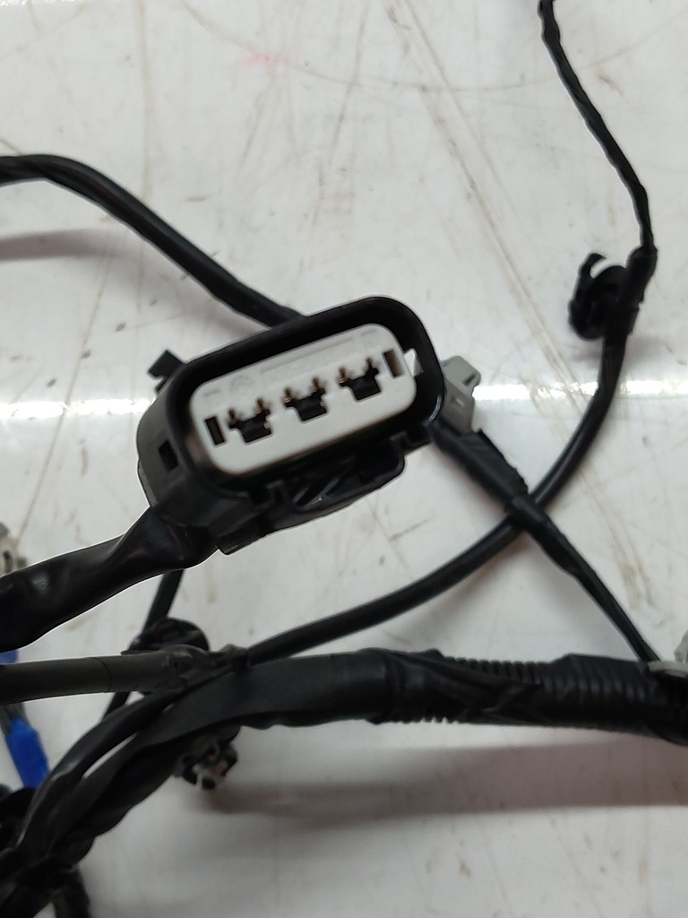 MTD-503594-1