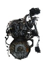 MTD-484099-1