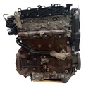 MTD-484505-1