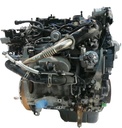 MTD-441973-2