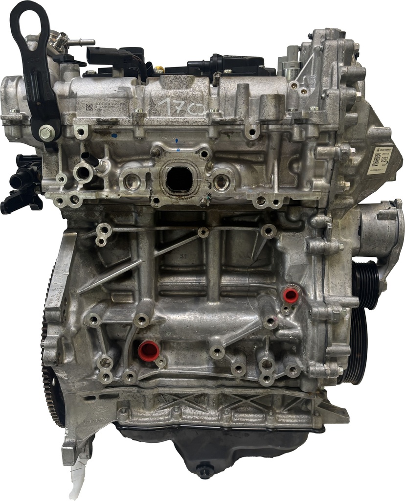 MTD-477848-1