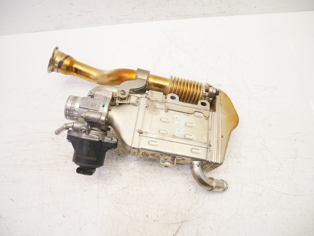MTD-404206-1