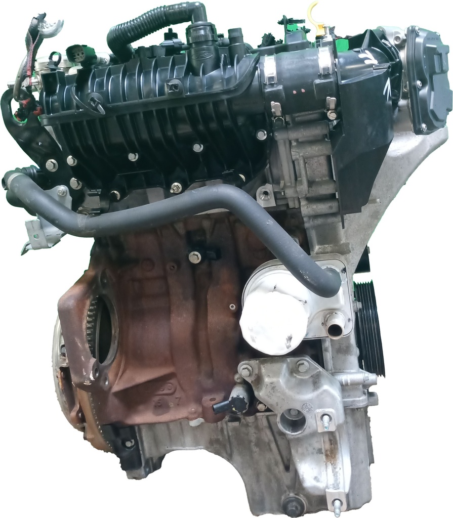 MTD-428427-2