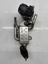 MTD-441436-2
