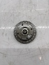 MTD-442916-1