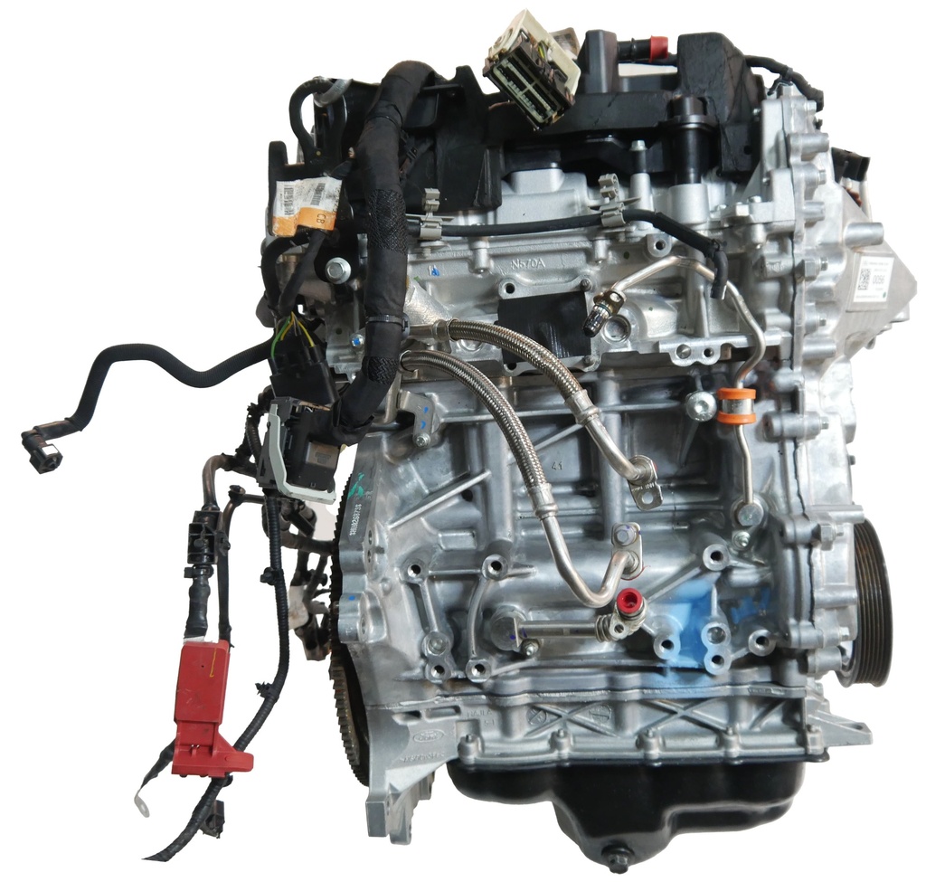 MTD-494852-2